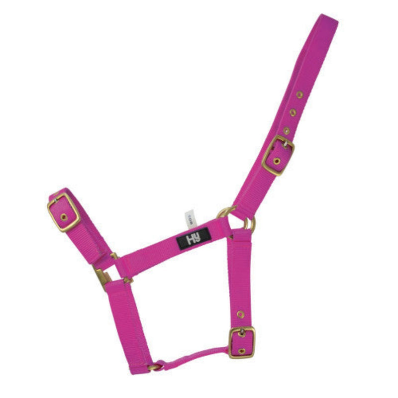 Hy Equestrian Fully Adjustable Head Collar