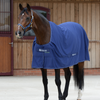 Bucas Shamrock Power Rug