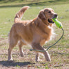 Kong Airdog Fetch Stick with RopeThe KONG AirDog® Fetch Stick with Rope floats high on the water and comes with a high-quality throw rope. It’s made from our non-abrasive tennis ball material, whichKongMcCaskieKong Airdog Fetch Stick