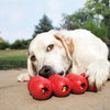 Kong Goodie RibbonA treasure trove of chewing! Stuff KONG Goodie Ribbon’s four spaces with treats and the Goodie Gripper™ ridges inside make getting the nibbles out a mentally challenKongMcCaskieKong Goodie Ribbon