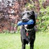 Kong KazooThe new KONG Kazoos has a rallying cry for romping, with a lower-toned sound that captivates dogs. The thick walls provide durability and ensure long-lasting fun. ThKongMcCaskieKong Kazoo